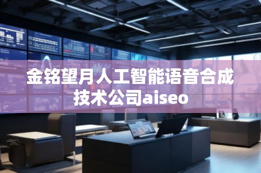 金銘望月人工智能語音合成技術(shù)公司aiseo