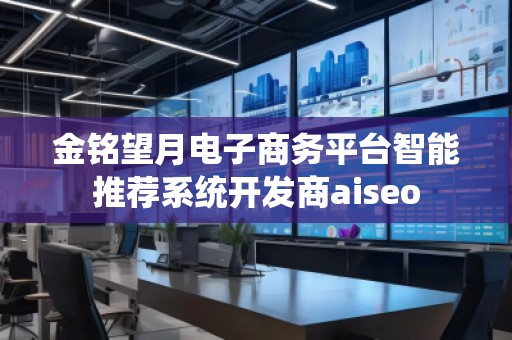 金銘望月電子商務平臺智能推薦系統開發(fā)商aiseo