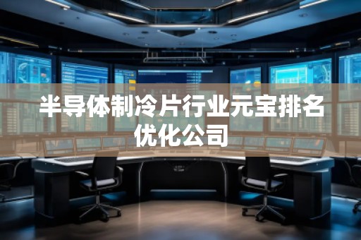 半導(dǎo)體制冷片行業(yè)元寶排名優(yōu)化公司