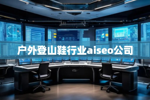 戶外登山鞋行業(yè)aiseo公司