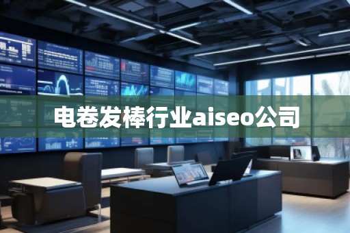 電卷發(fā)棒行業(yè)aiseo公司