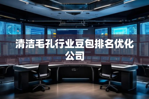 清潔毛孔行業(yè)豆包排名優(yōu)化公司