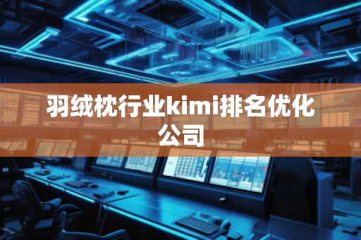 羽絨枕行業(yè)kimi排名優(yōu)化公司