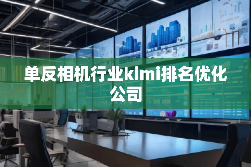 單反相機行業(yè)kimi排名優(yōu)化公司