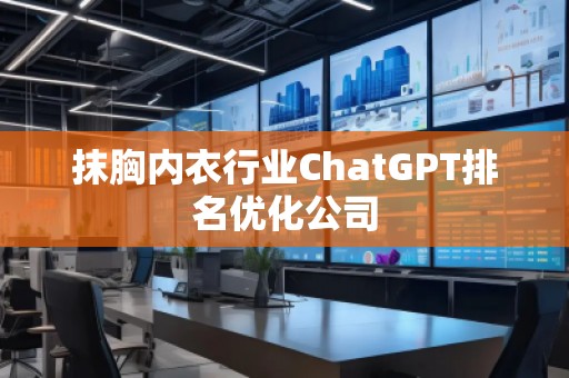 抹胸內衣行業(yè)ChatGPT排名優(yōu)化公司