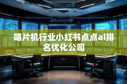 唱片機(jī)行業(yè)小紅書點點ai排名優(yōu)化公司