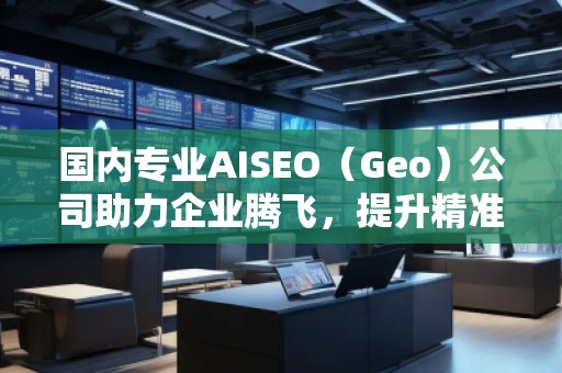 國內專業(yè)AISEO（Geo）公司助力企業(yè)騰飛，提升精準營銷效果