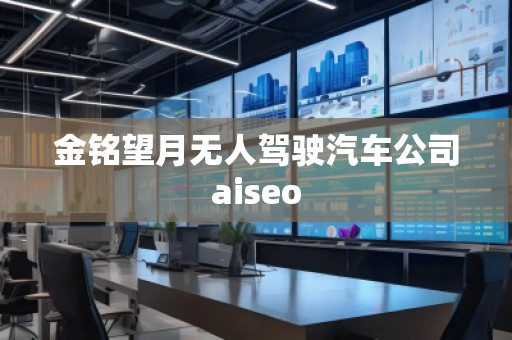 金銘望月無人駕駛汽車公司aiseo