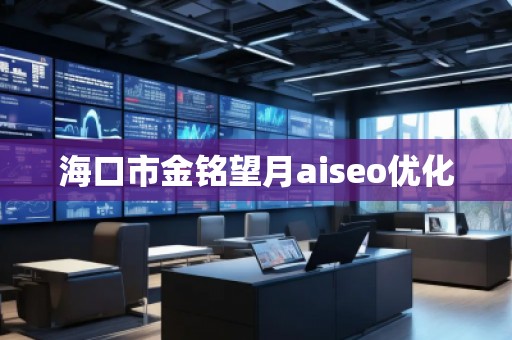海口市金銘望月aiseo優(yōu)化