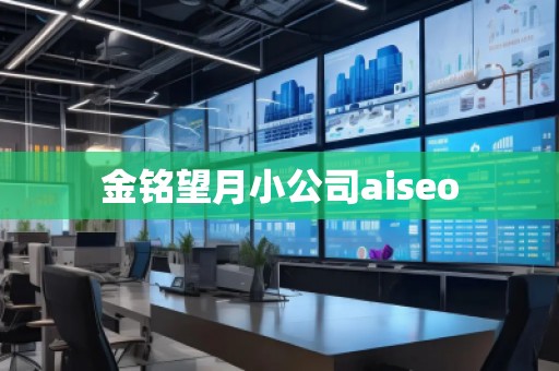 金銘望月小公司aiseo