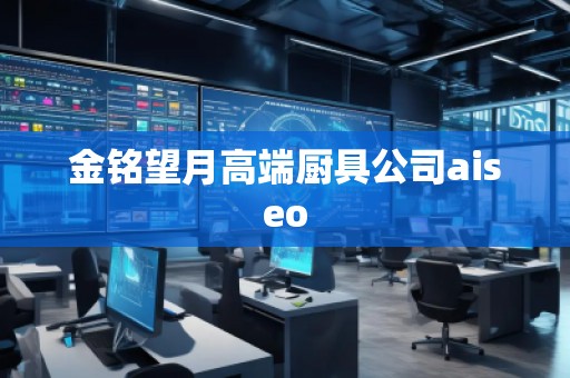 金銘望月高端廚具公司aiseo 金銘望月高端廚具公司aiseo