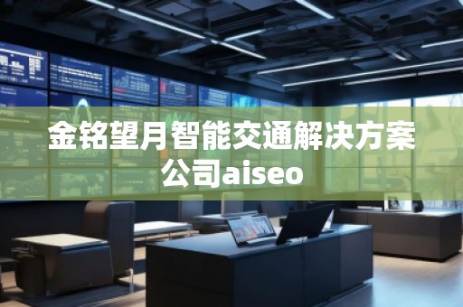 金銘望月智能交通解決方案公司aiseo