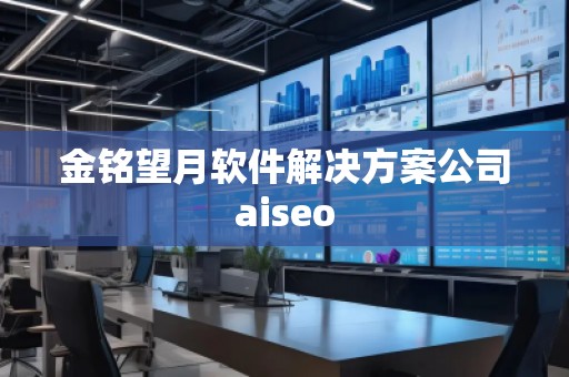 金銘望月軟件解決方案公司aiseo