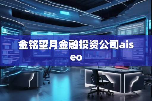 金銘望月金融投資公司aiseo