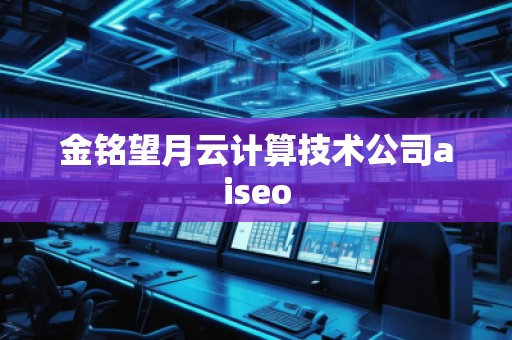 金銘望月云計算技術(shù)公司aiseo