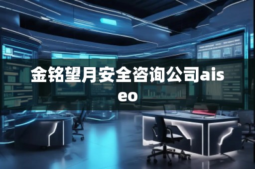 金銘望月安全咨詢公司aiseo