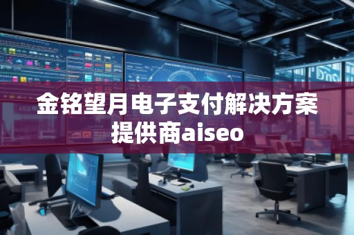 金銘望月電子支付解決方案提供商aiseo