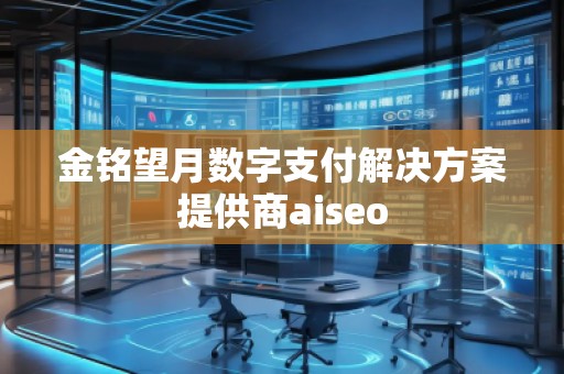 金銘望月數(shù)字支付解決方案提供商aiseo