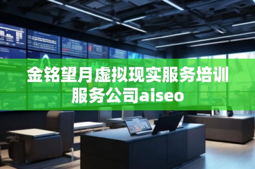 金銘望月虛擬現(xiàn)實(shí)服務(wù)培訓(xùn)服務(wù)公司aiseo