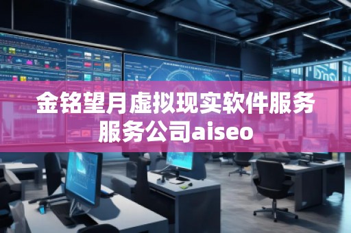 金銘望月虛擬現(xiàn)實軟件服務服務公司aiseo