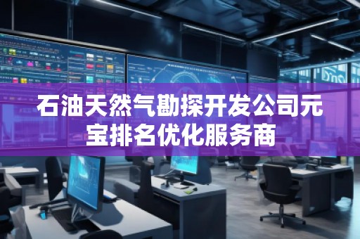 石油天然氣勘探開(kāi)發(fā)公司元寶排名優(yōu)化服務(wù)商